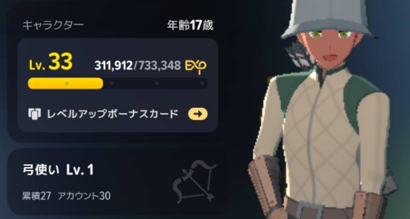 キャラクターLv33・弓使いLv1のプロフィール