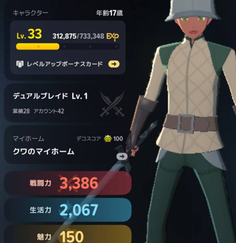 キャラクターLv33・デュアルブレイドLv1のプロフィール
