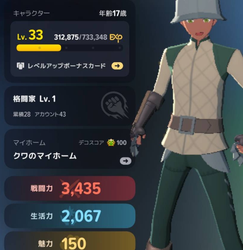 キャラクターLv33・格闘家Lv1のプロフィール