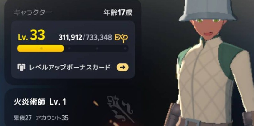 キャラクターLv33・火炎術師Lv1のプロフィール