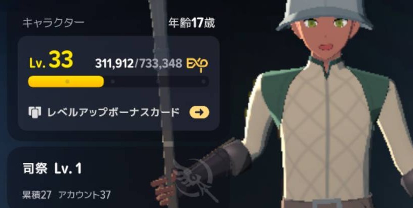 キャラクターLv33・司祭Lv1のプロフィール