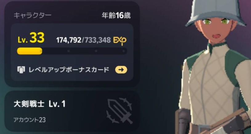 変更後は大剣戦士Lv1。キャラクターレベル33は維持されている